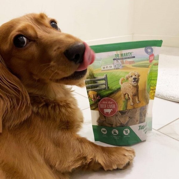 Dr. Marty Dog Food Review Is It Worth It? (June 2022 Reviews) The