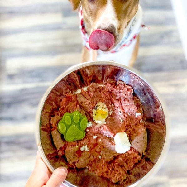 Can Dogs Eat Ground Turkey? 2 Top Reasons Why It Is A Good Idea The