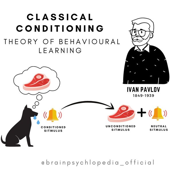 Purpose Realized What Was The Main Point Of Ivan Pavlov’s Experiment
