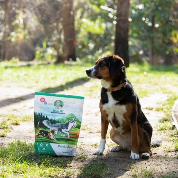 Dr. Marty Dog Food Review Is It Worth It? (June 2022 Reviews) The