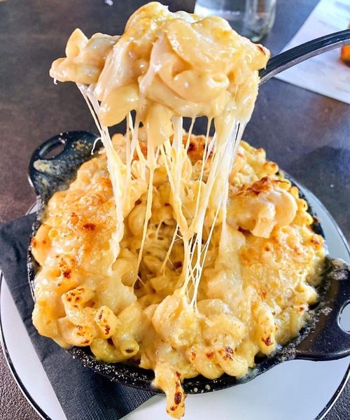 Can Dogs Eat Mac And Cheese? Busting Two Myths Behind Macaroni And