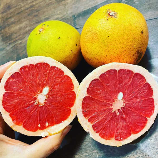 Can Dogs Eat Grapefruit? Warning! Watch Out For These Things The Goody Pet