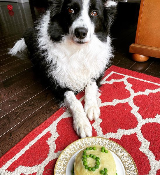 Can Dogs Eat Green Peas? 3 Great Reasons Why This Is Such A Good Idea