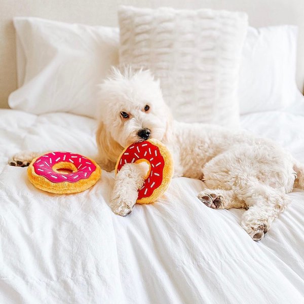 Why Do Dogs Chew On Everything? Note Down These Things To Put An End To