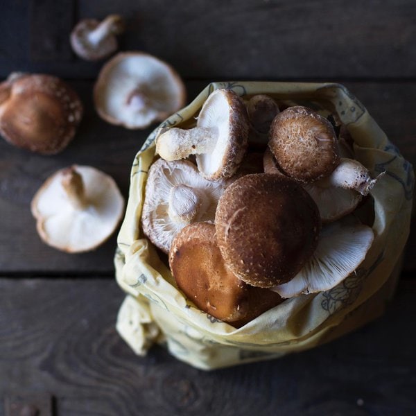 Can Dogs Eat Shiitake Mushrooms? Top Two Reasons Why This Is A Great
