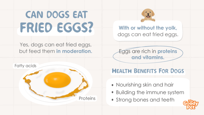 Are fried eggs bad for dogs outlet