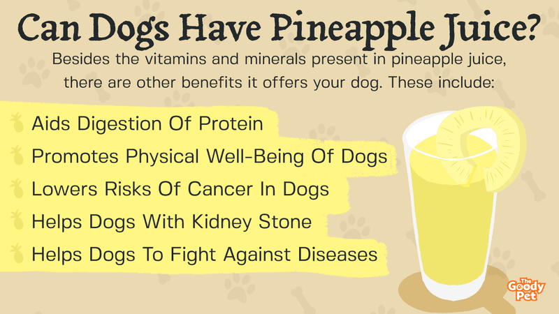 how much pineapple can i give my dog