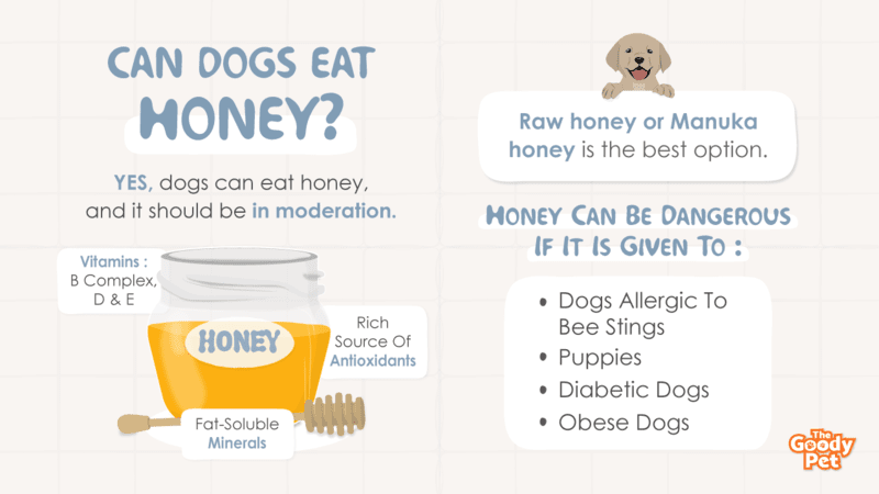 can dogs eat honey combs