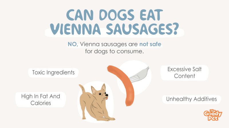 can vienna sausage kill dogs