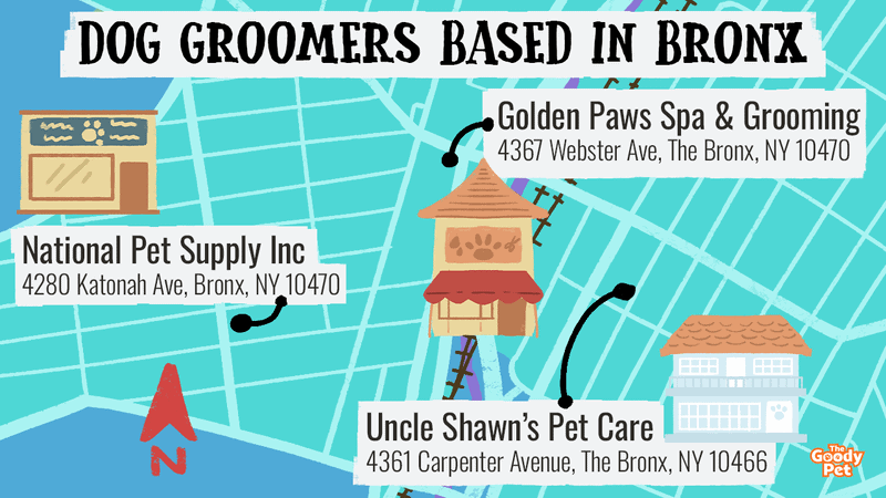 Mobile pet grooming sales bronx