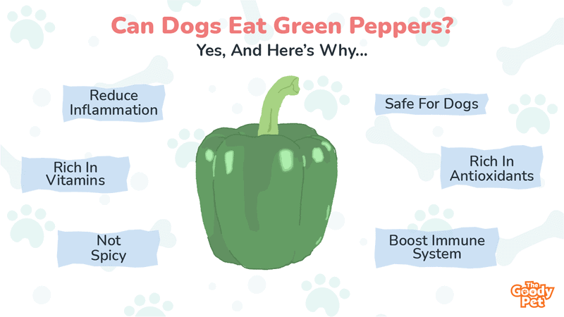 are spicy peppers bad for dogs