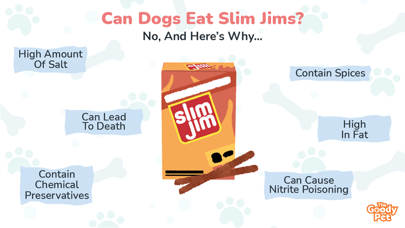 Slim jims for dogs cheap
